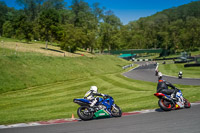 cadwell-no-limits-trackday;cadwell-park;cadwell-park-photographs;cadwell-trackday-photographs;enduro-digital-images;event-digital-images;eventdigitalimages;no-limits-trackdays;peter-wileman-photography;racing-digital-images;trackday-digital-images;trackday-photos